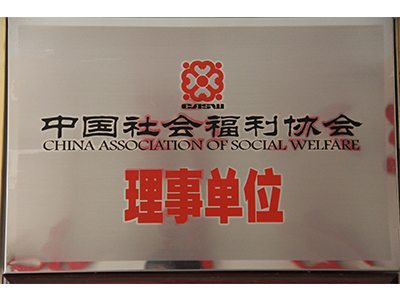 中国社会福利协会理事单位